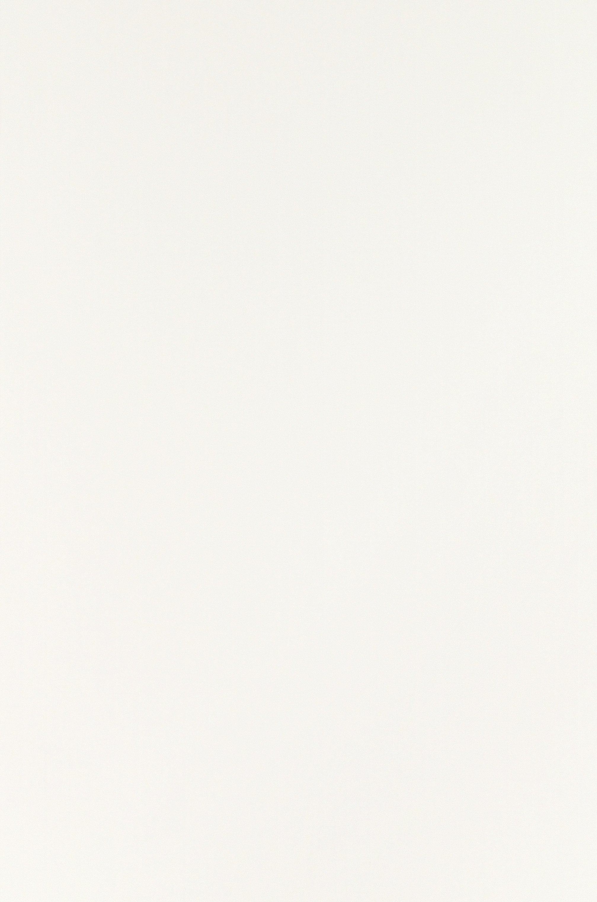 White RAL 9010