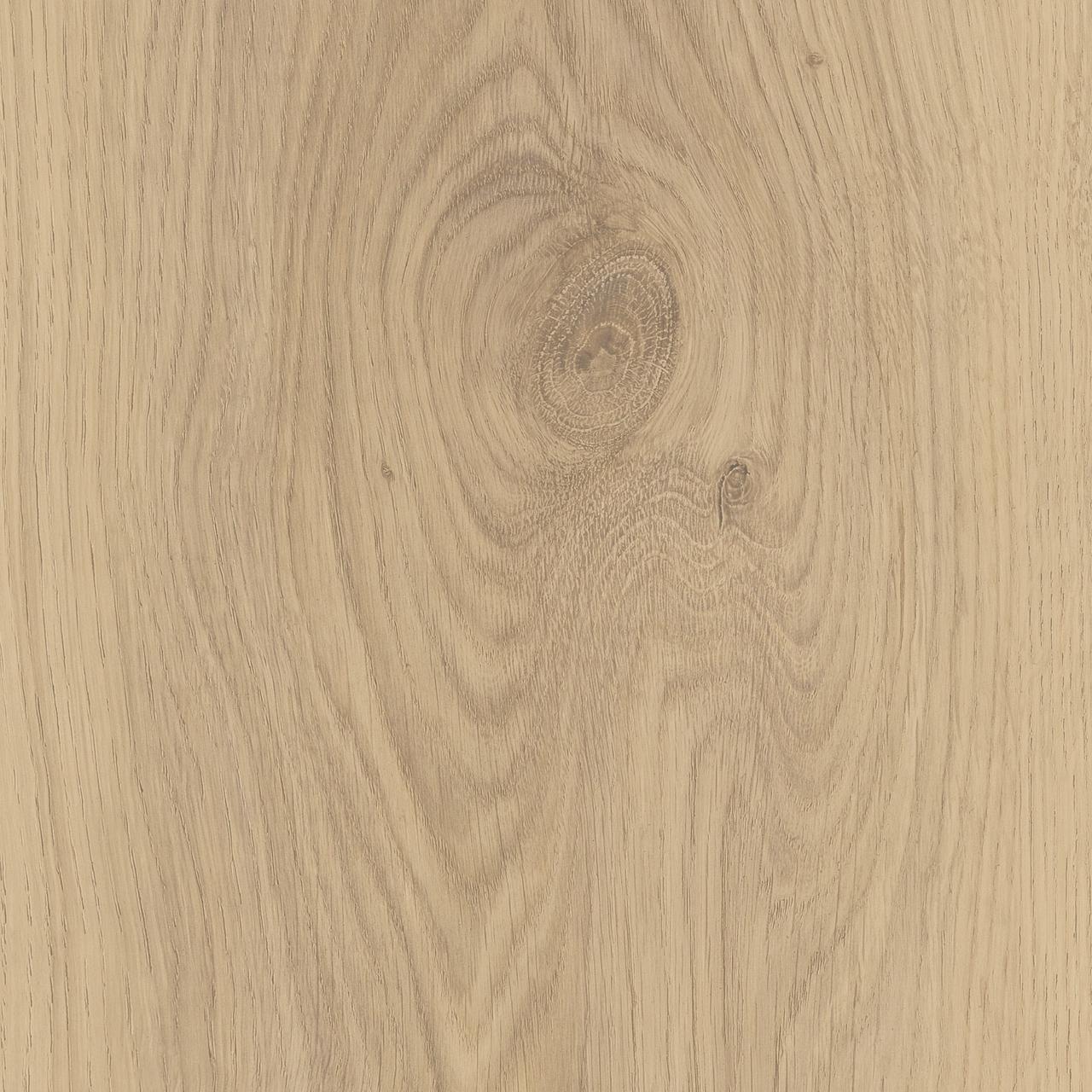 Oak Cardoso Adela