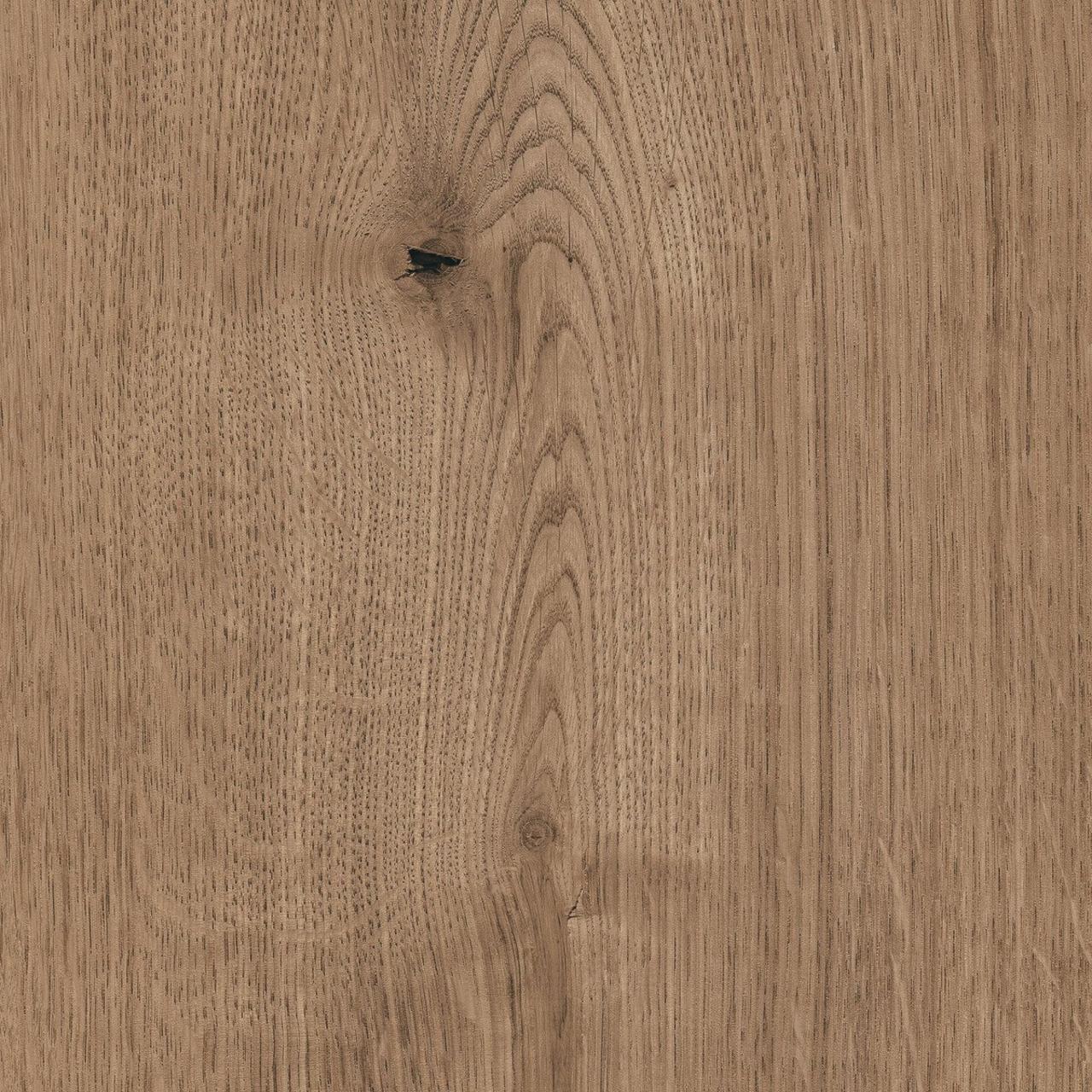 Oak Ferrara Wildlife
