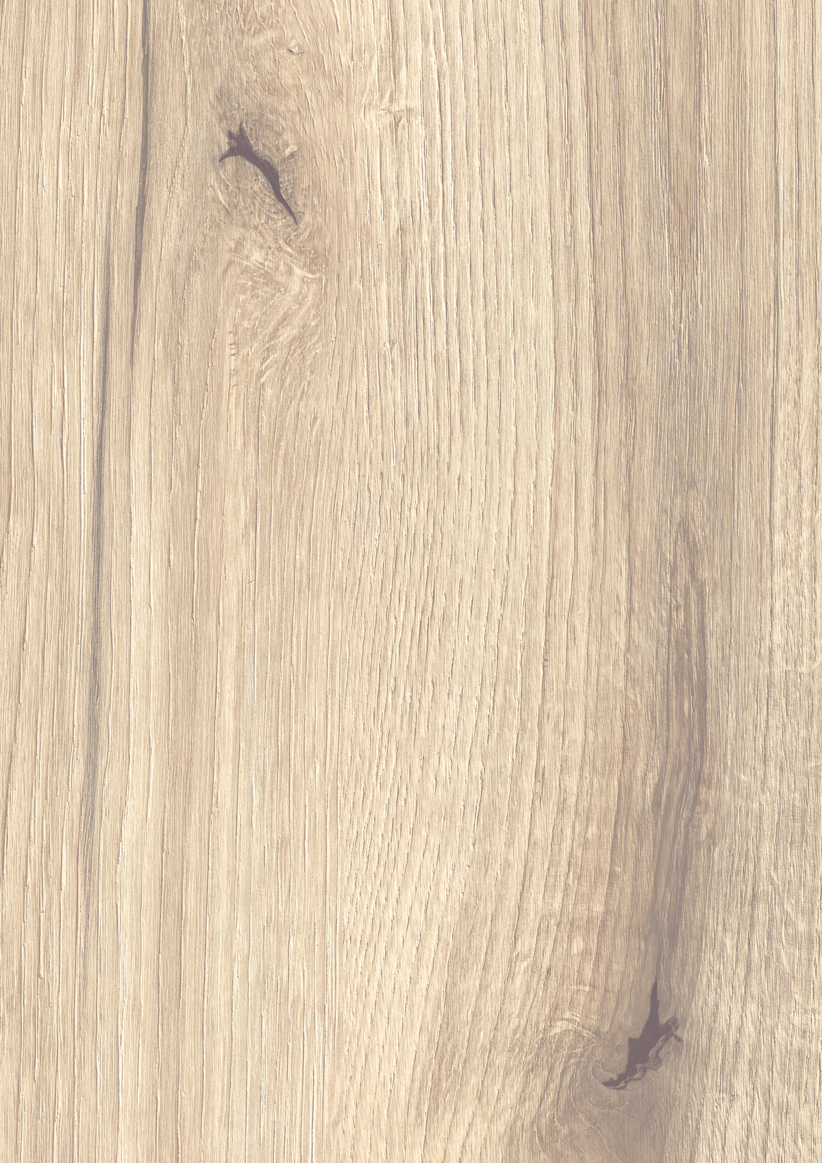 Oak Evoke Light