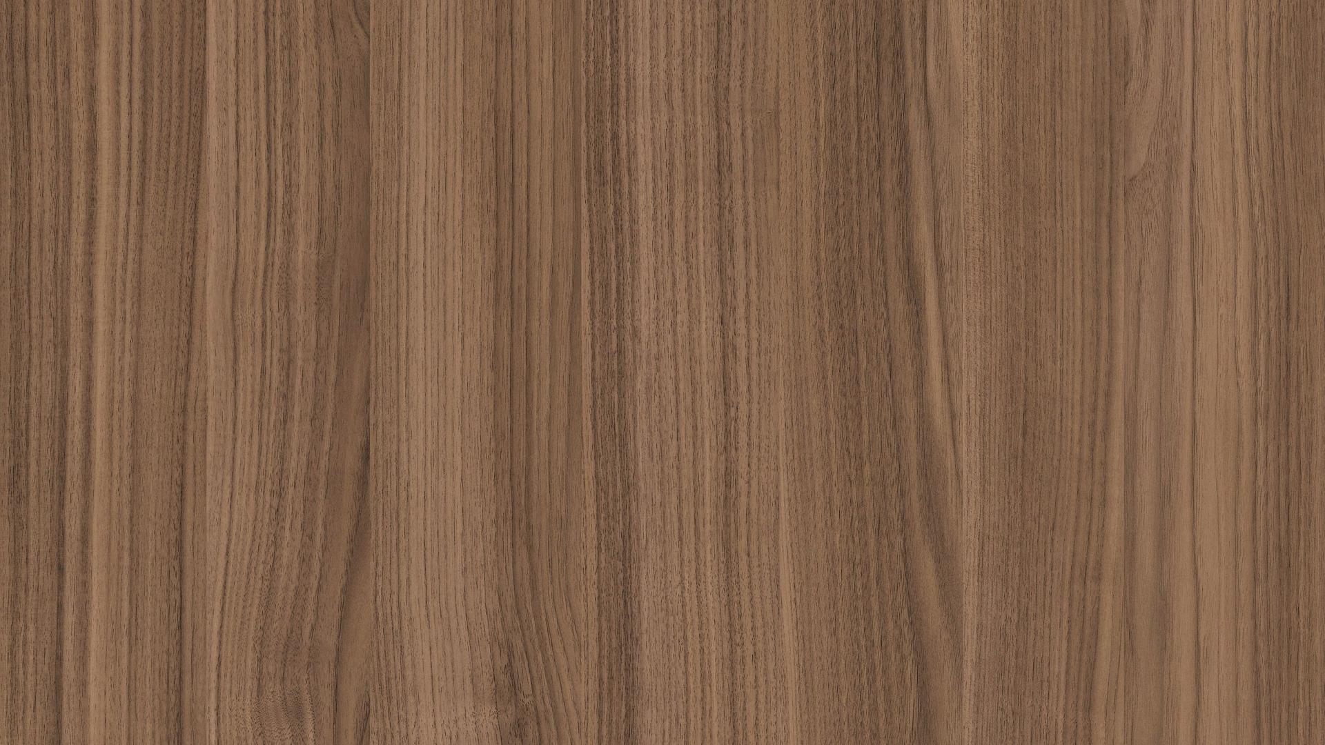Walnut Umbra