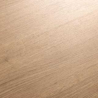 Oak Pallidus