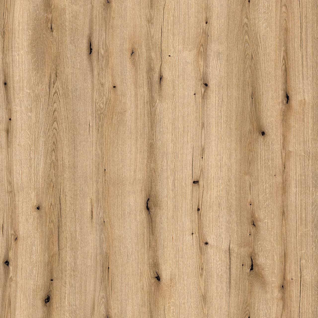 Coast Evoke Oak