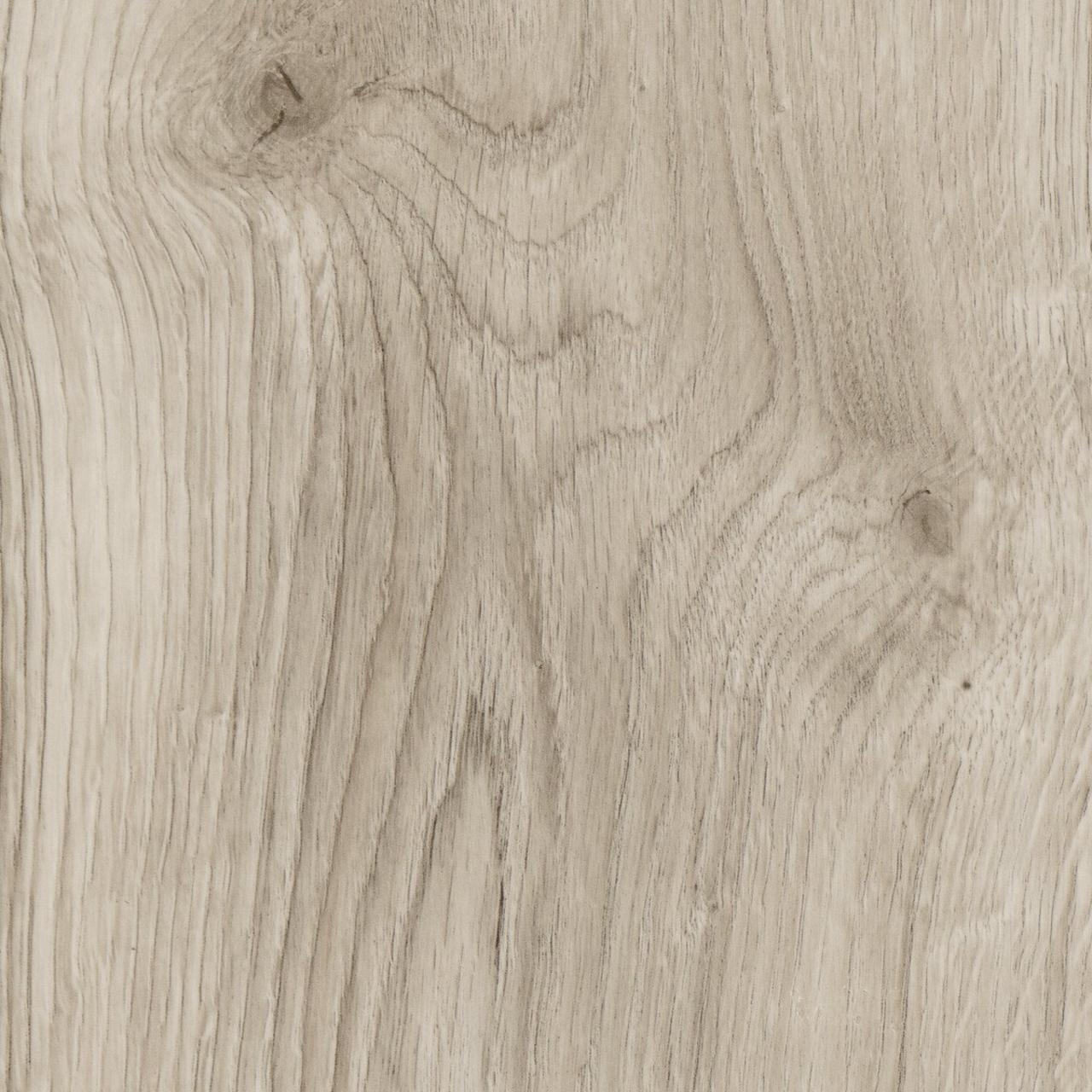 Oak Arona