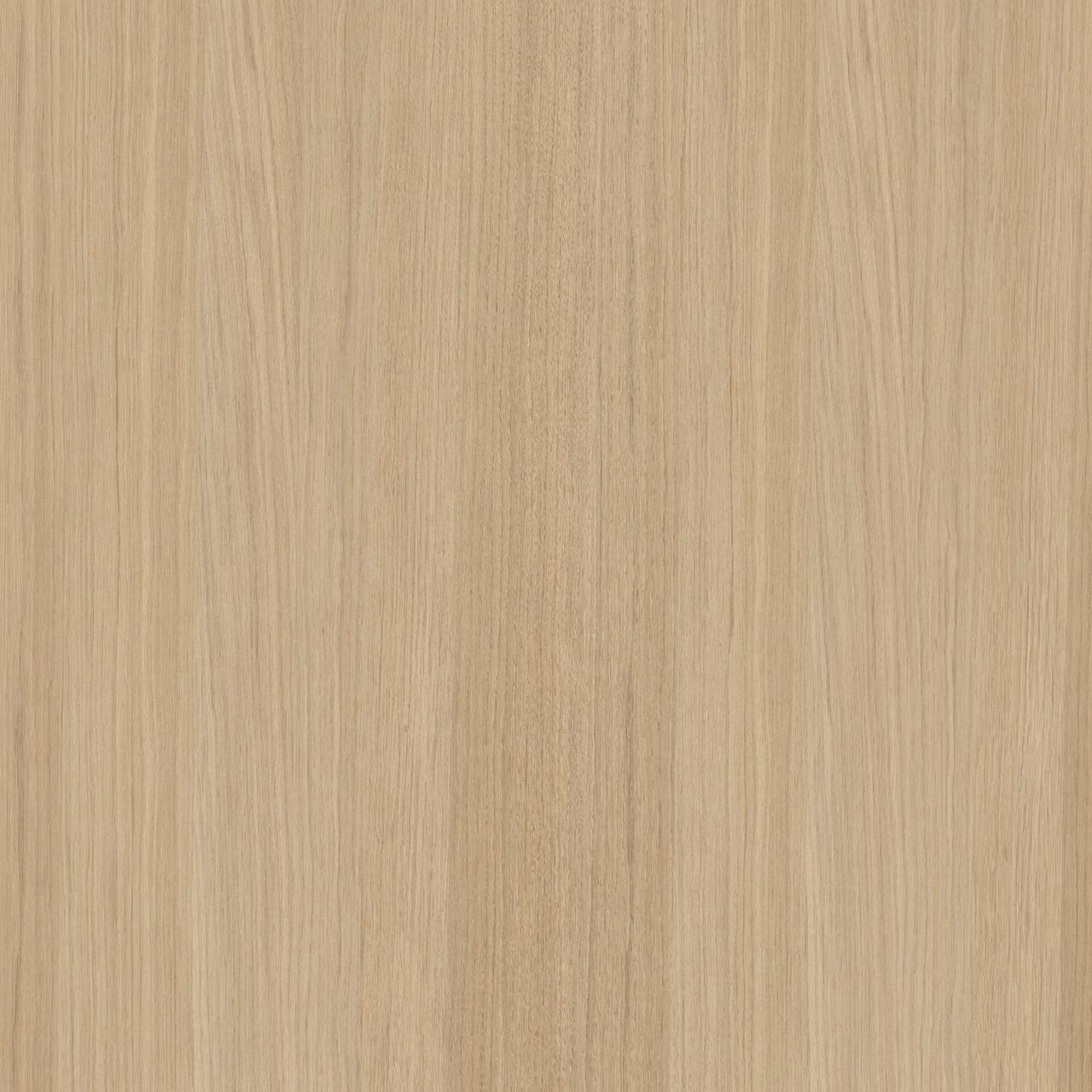 European Oak