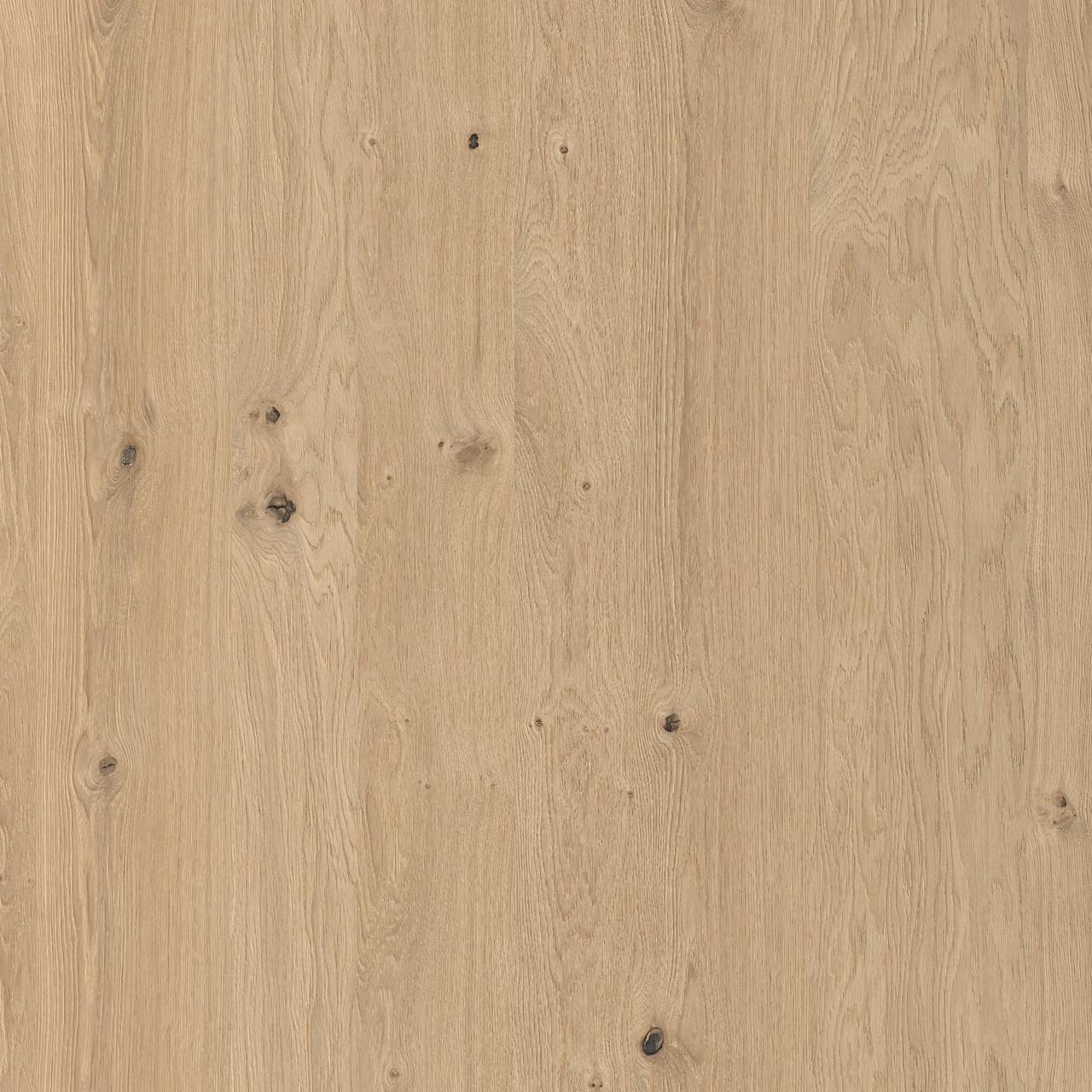 Knotty Oak