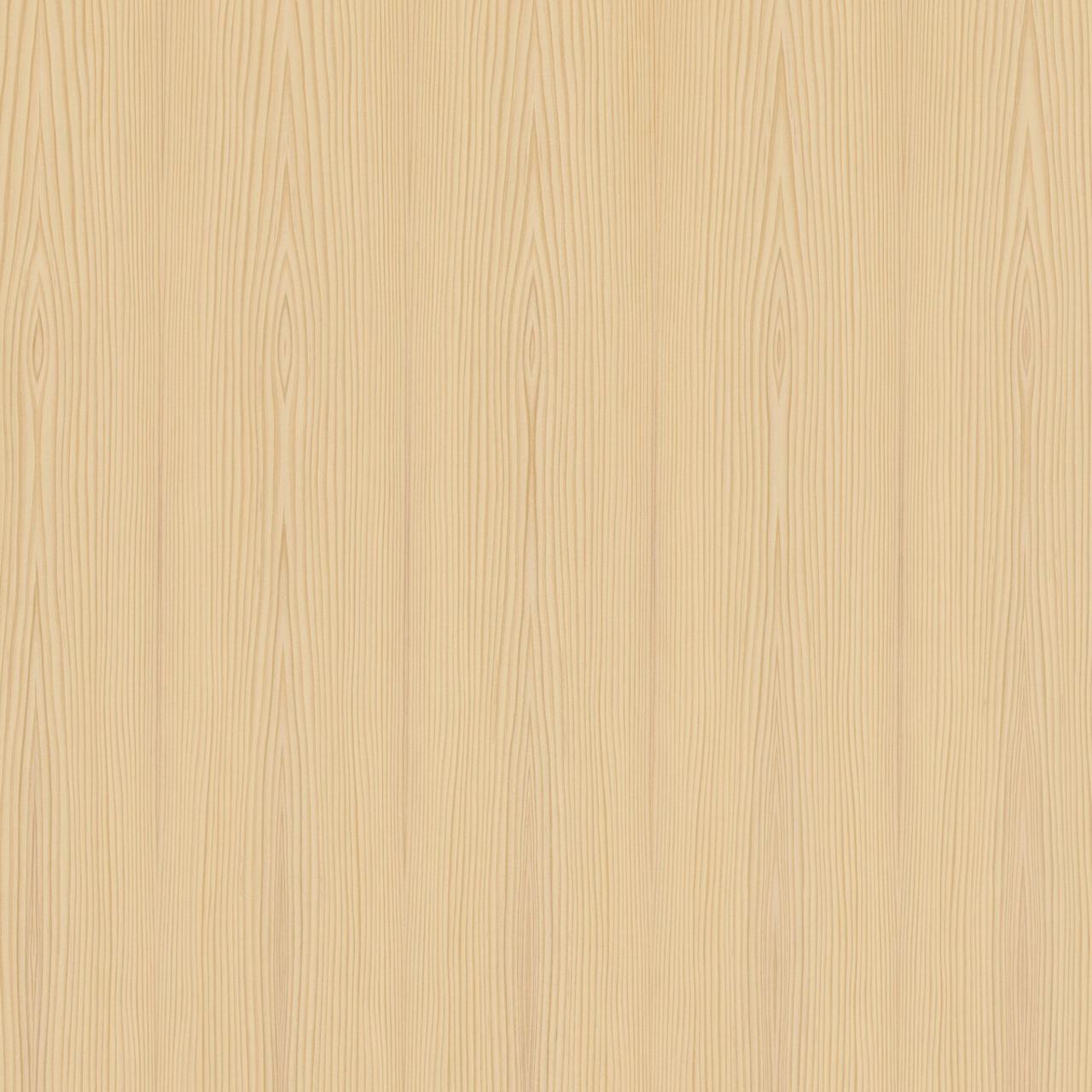 Silver Fir