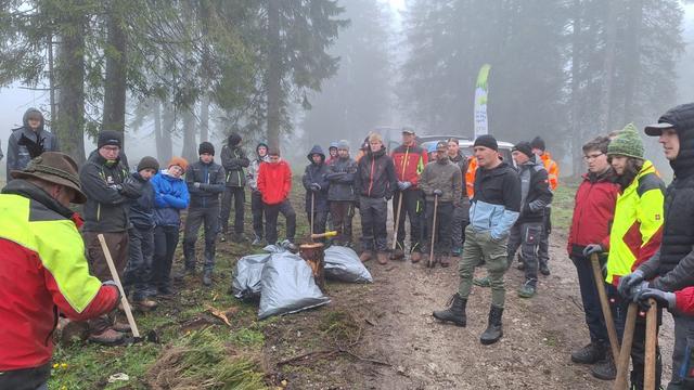 Aufforstungsaktion der Firma Kaindl und der österreichischen Bundesforste mit einer Schulklasse des Holztechnikums Kuchl auf der Postalm