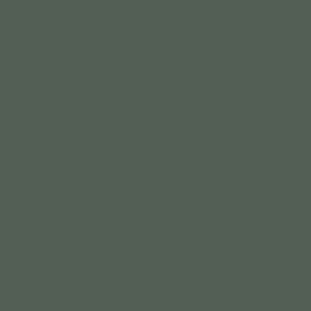 D25737 MN Verde