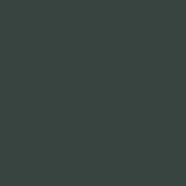 D25735 MN Black Green