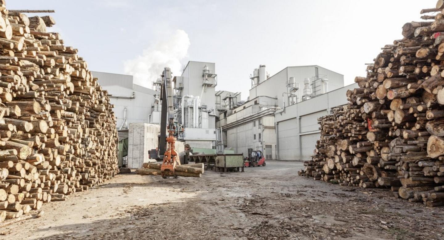 Kaindl Company Facts & Figures