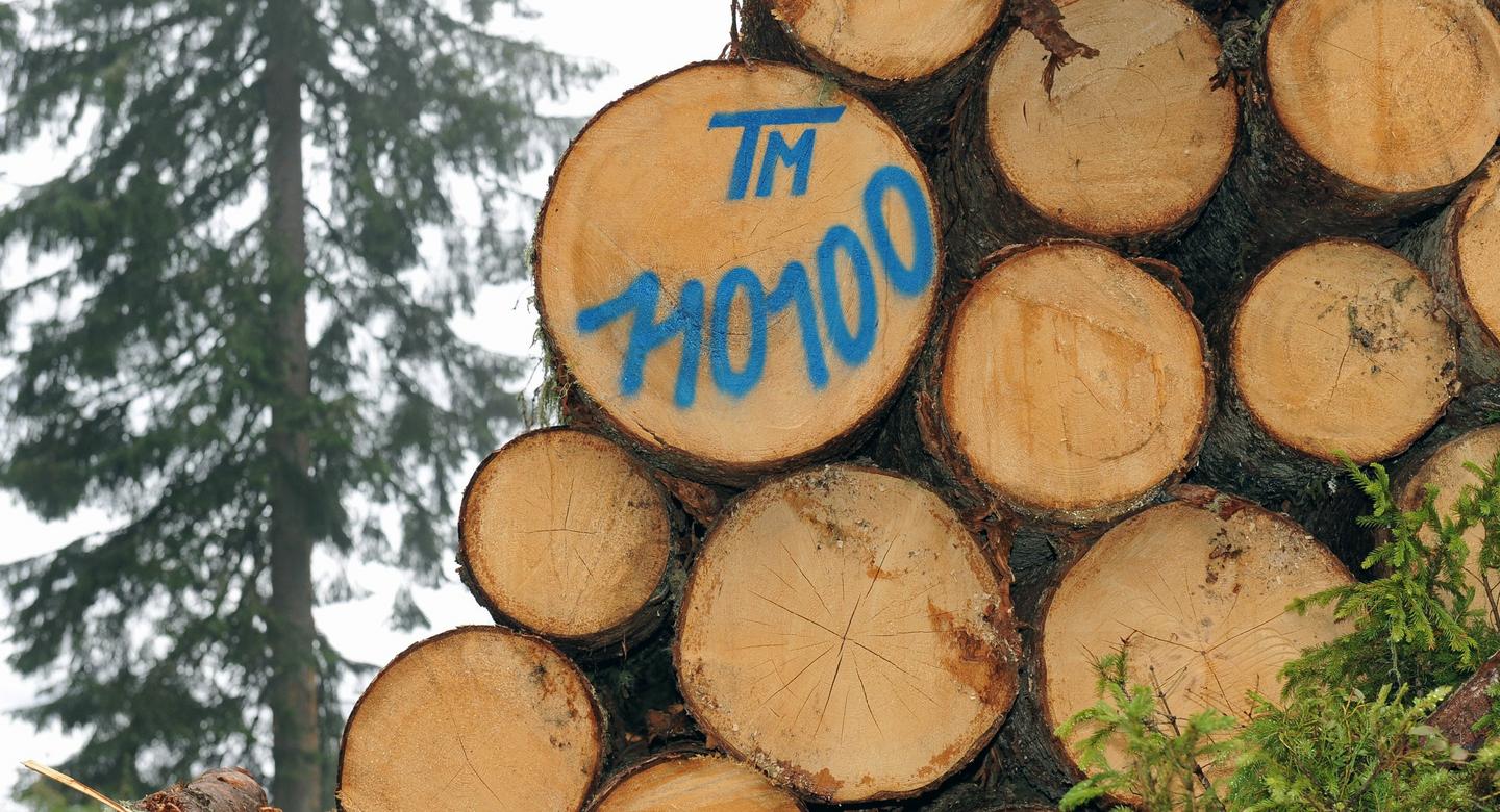 Wood procurement